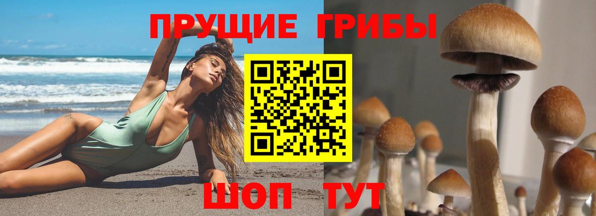 Псилоцибиновые грибы Cubensis  Вход с VPN  Псилоцибиновые грибы Magic Shrooms  наркотики  Гусиноозёрск 